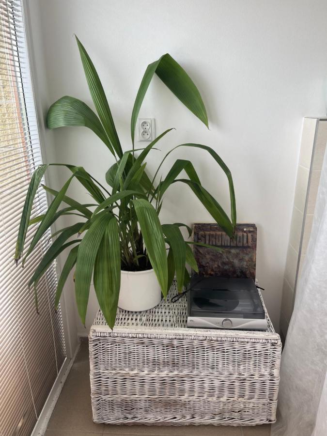 Apartman Michaela Turnov Esterno foto